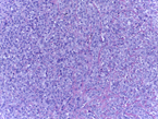 http://www.bioimaging2015.ineb.up.pt/challenge_files/image004.png